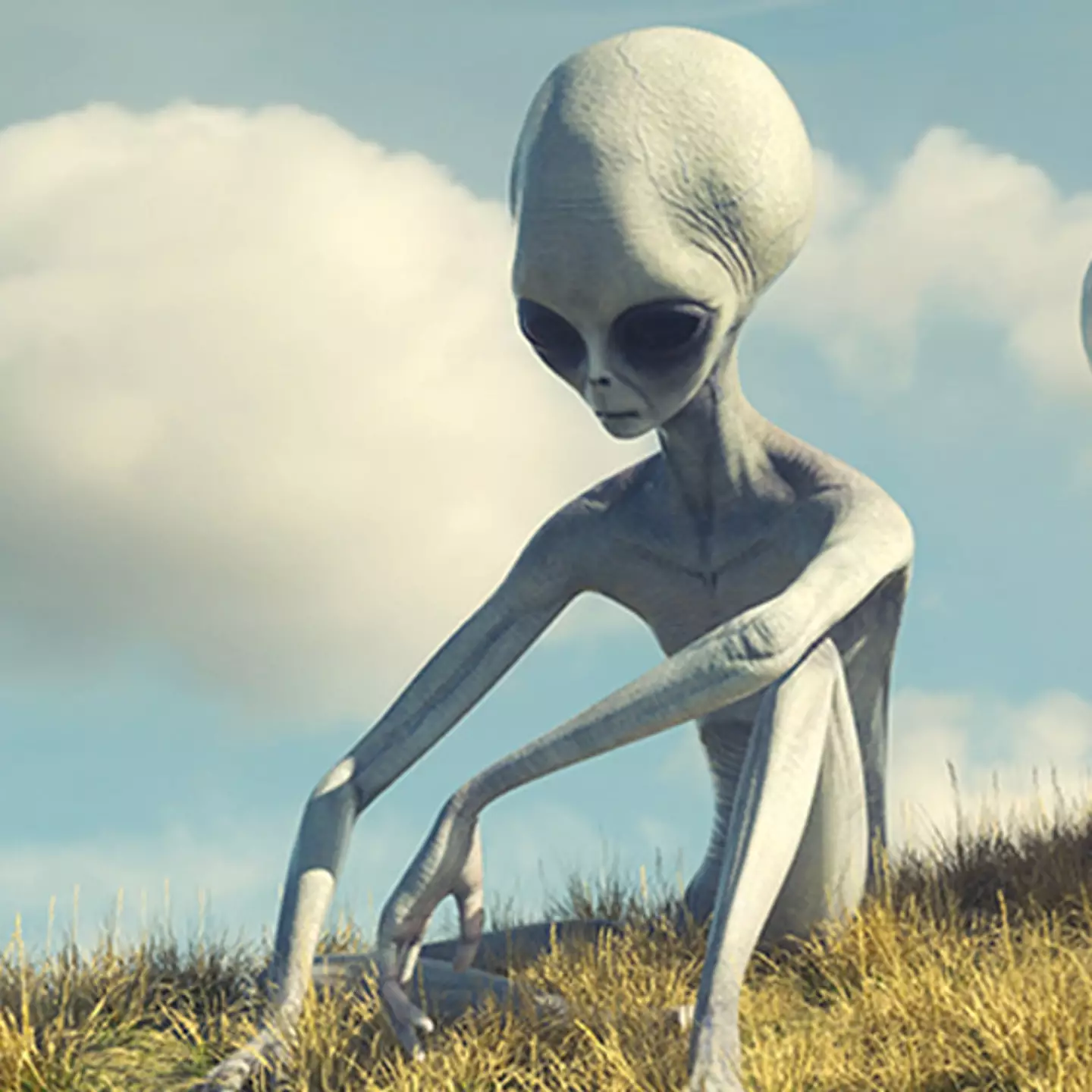 宇宙人は未来の地球人説