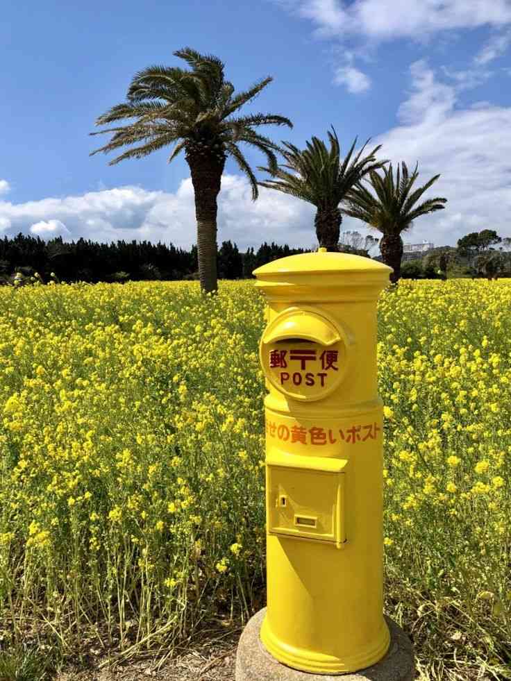 明るい話題を提供するトピ