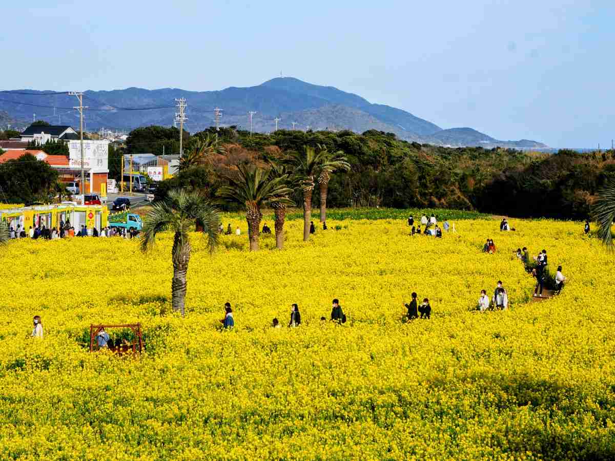 明るい話題を提供するトピ