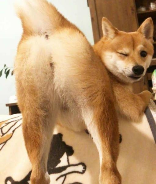 【ネタ注意】全くエロくないのにそういう風に見える画像を貼るトピ Part7
