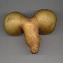【ネタ注意】全くエロくないのにそういう風に見える画像を貼るトピ Part7