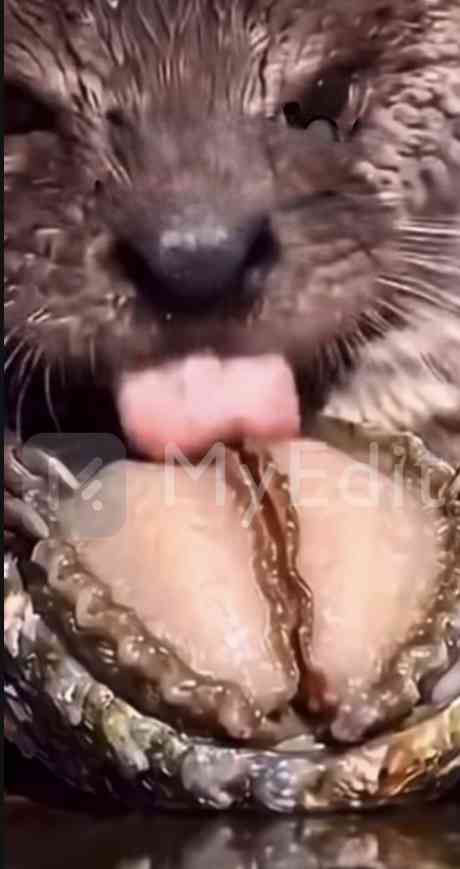 【ネタ注意】全くエロくないのにそういう風に見える画像を貼るトピ Part7
