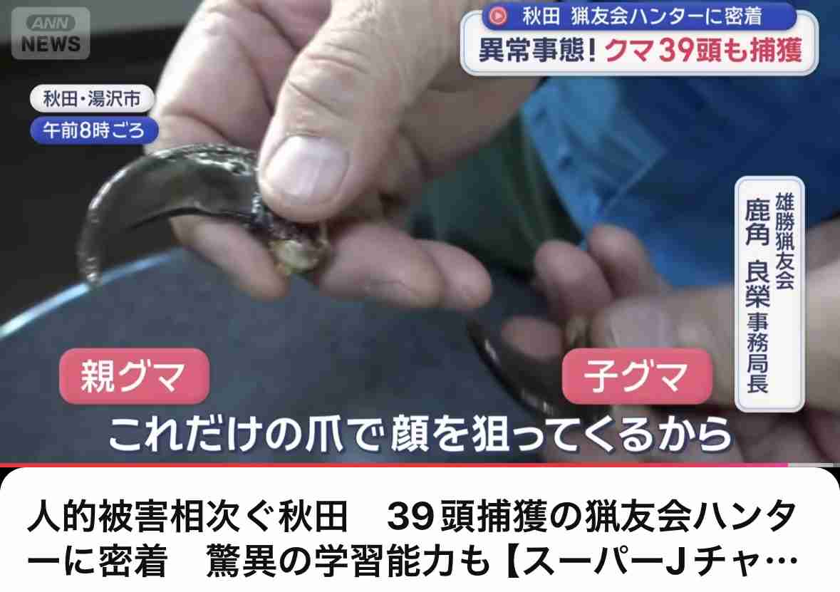 子グマを市の職員が網で捕獲 駅から約100mのやぶで発見 麻酔銃で眠らせ山の中で放獣へ 体長約50cm 長野・大町市