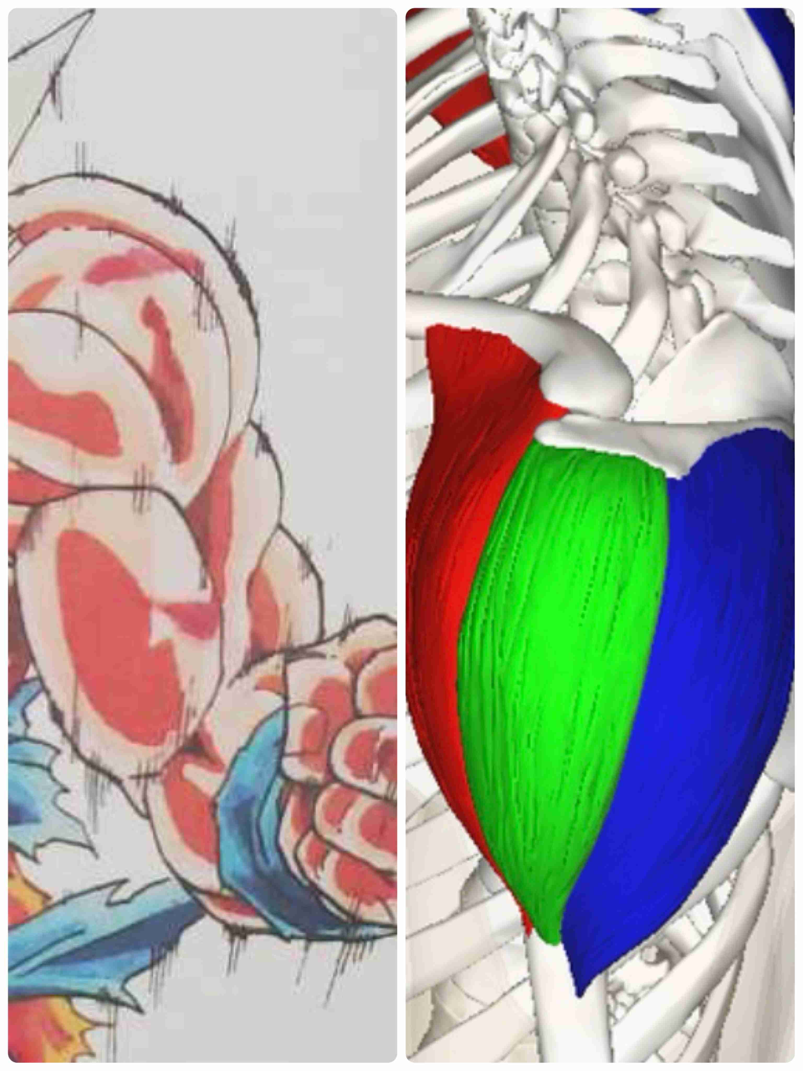 世界初の公式ショップ『DRAGON BALL STORE TOKYO』“イラスト”にSNS炎上も、現場でファンが語った“本音”とは