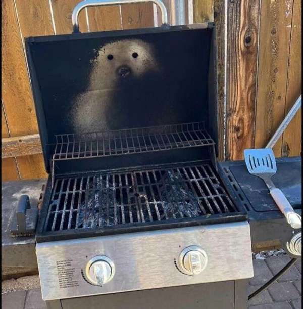 【画像】○○みたいな○○