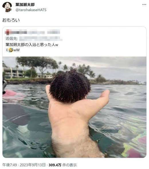 【画像】○○みたいな○○