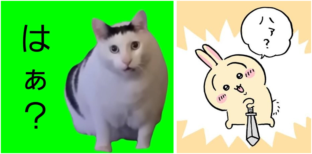 生活保護費減額は一律2.49％に　厚労省、最高裁判決受け改定へ