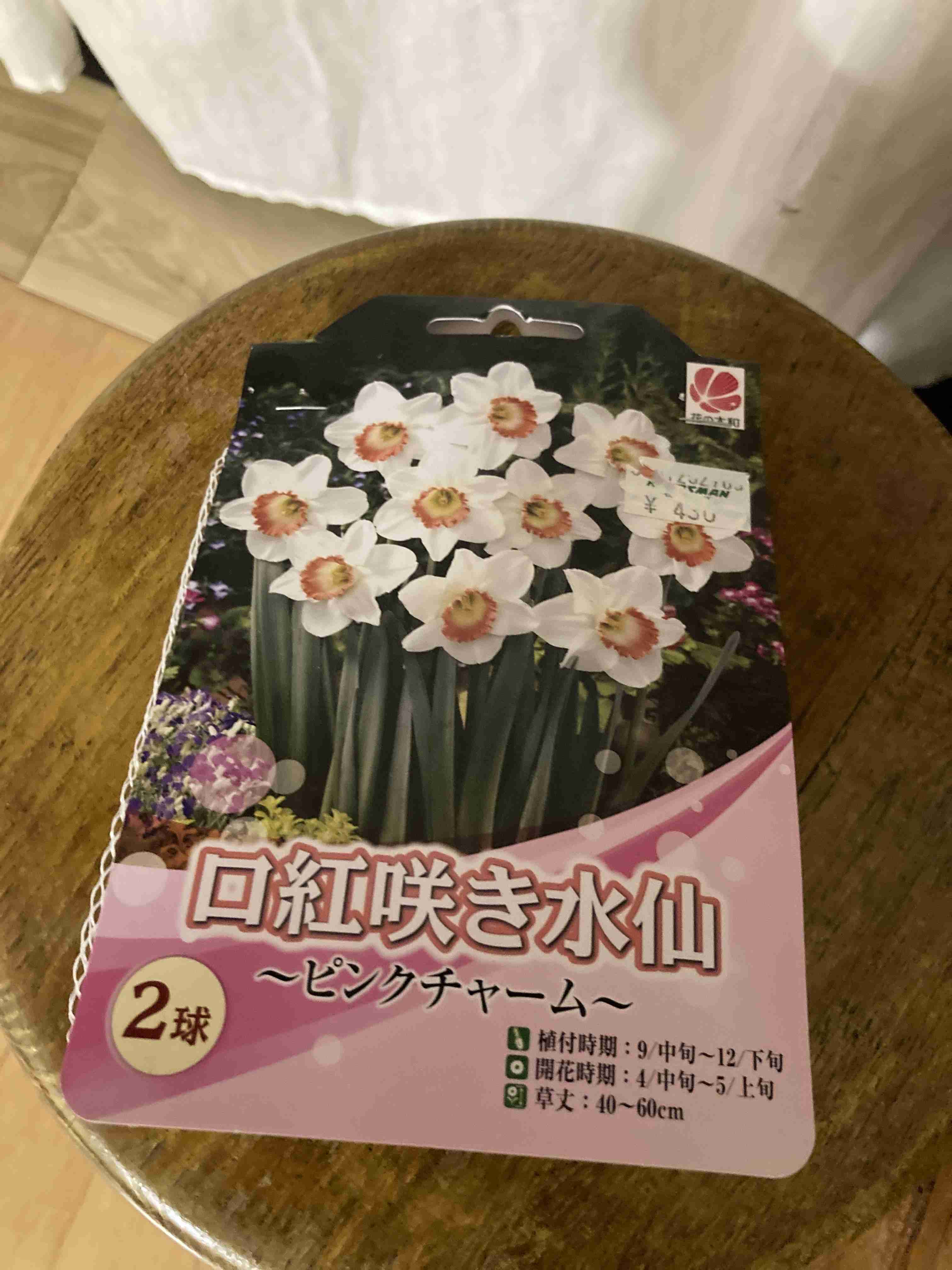 【ガーデニング】ガルちゃん園芸部【花・植物】part.51