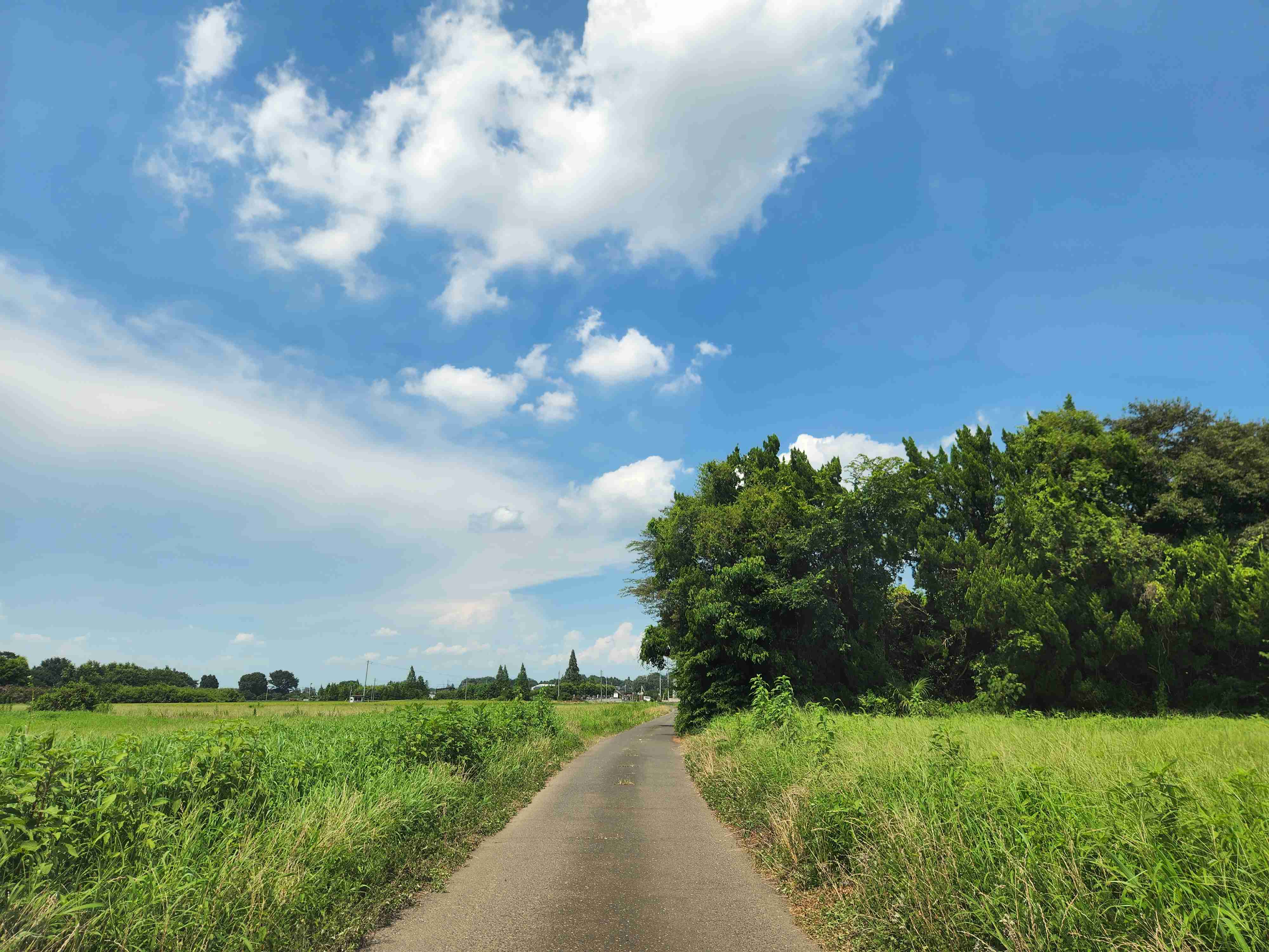 「コンビニも回覧板も車」の日常。地方移住3年で激変した41歳、同僚が絶句した「車社会の落とし穴」