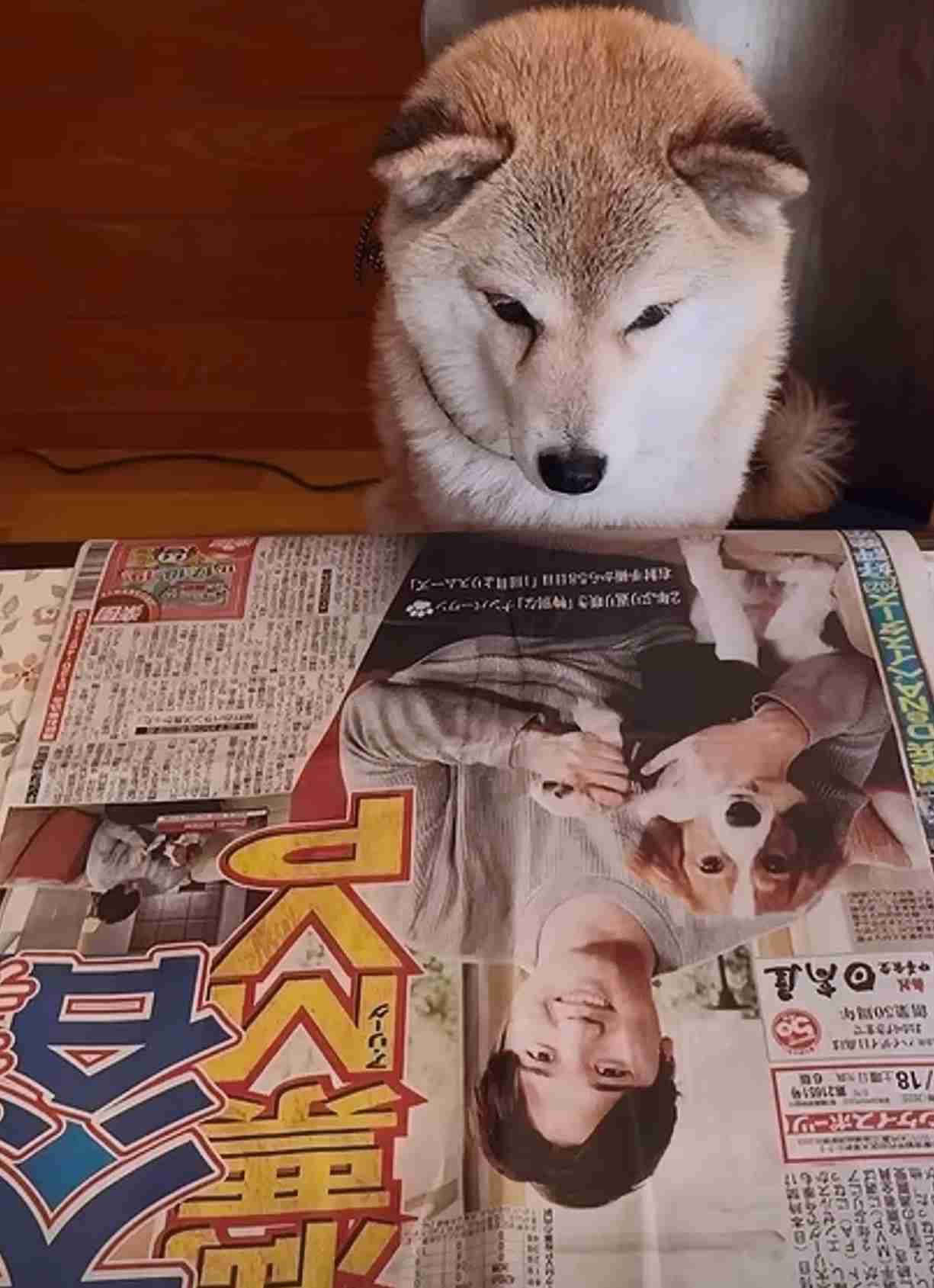 ペットショップで生体を扱うのはどうなのか