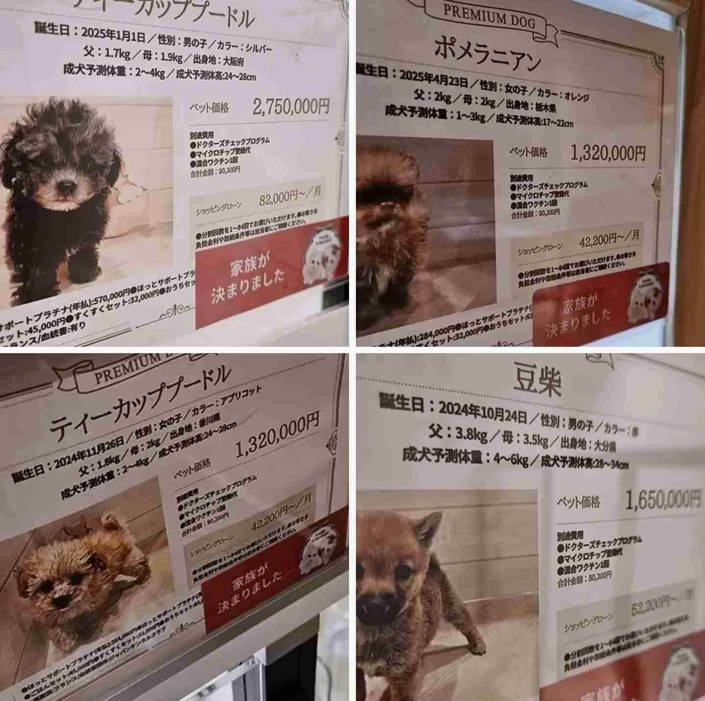 ペットショップで生体を扱うのはどうなのか