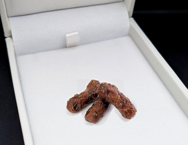 愛犬中心に生活してる人あるある