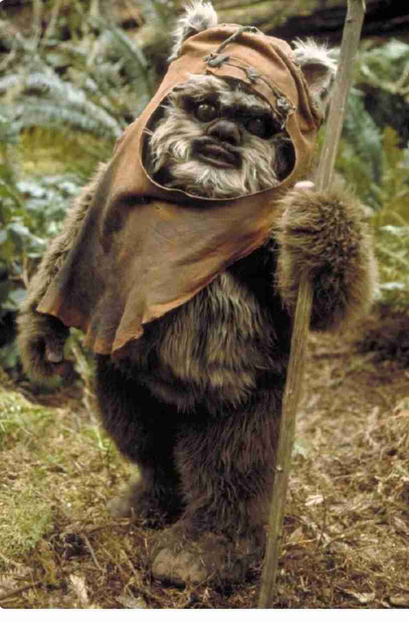 愛犬中心に生活してる人あるある