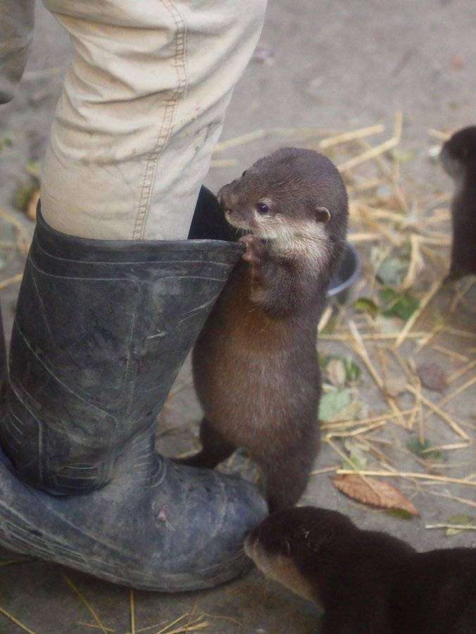 週末にガル民が集まる雑談トピpart5