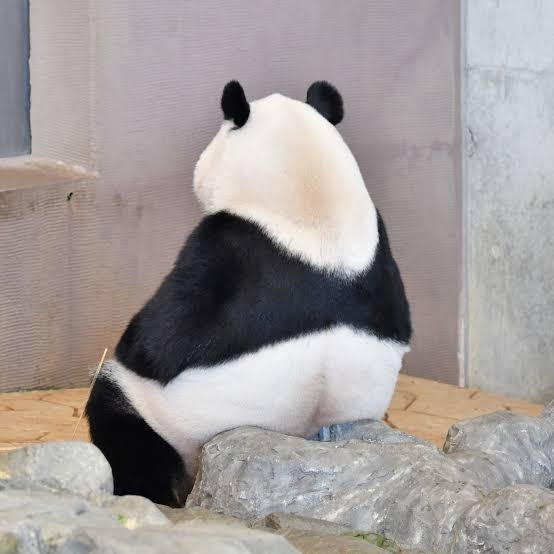 【11月】株トピ【2025年】