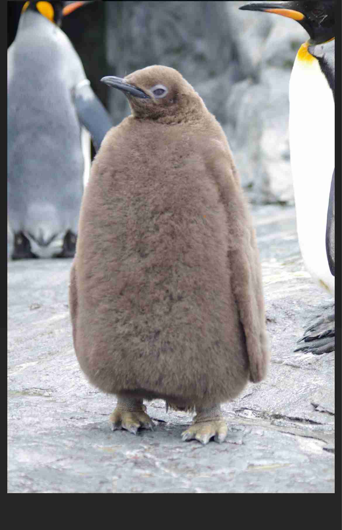 ユニクロ・GUで最近買って良かった商品part4