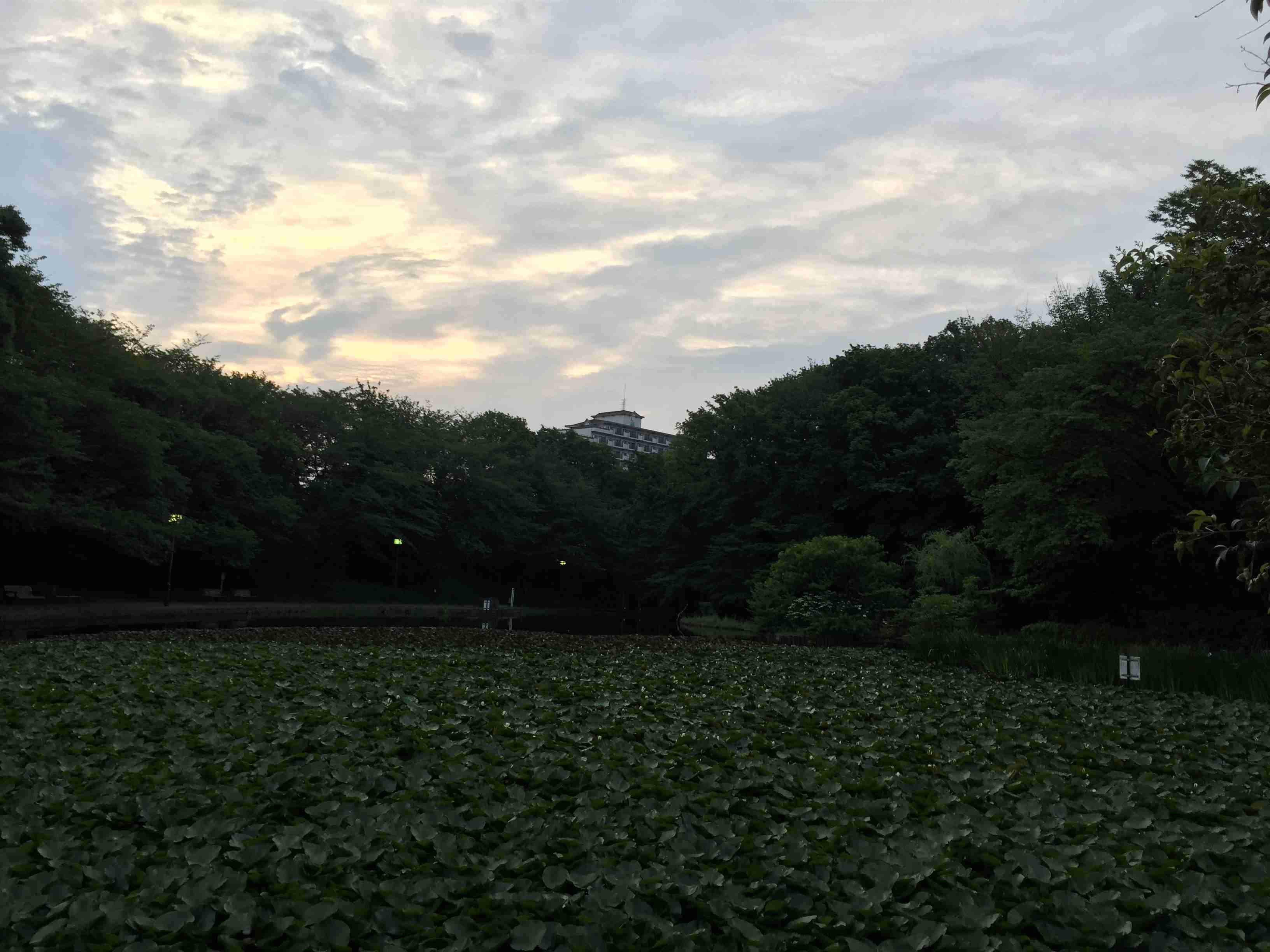 早朝覚醒が辛い人、辛かった人