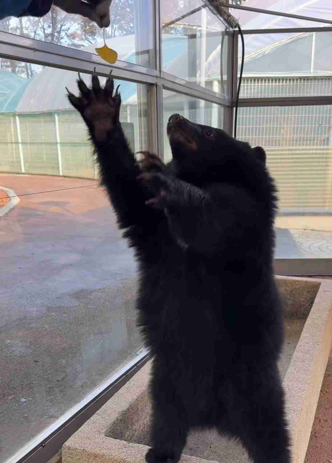 【ガルちゃん】その後が気になるトピありますか？