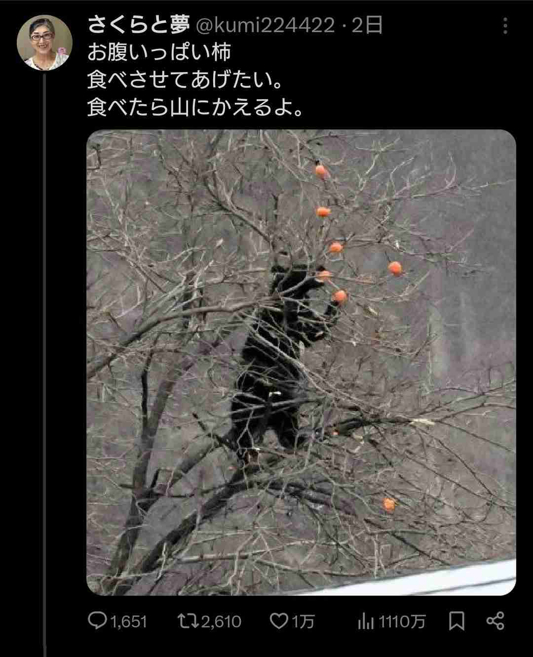 《猟友会にも寄せられるクレーム》罠にかかった凶暴なクマの映像に「歯や爪が悪くなってかわいそう」と…クレームに直面した高齢ベテランハンターの“嘆き”とは