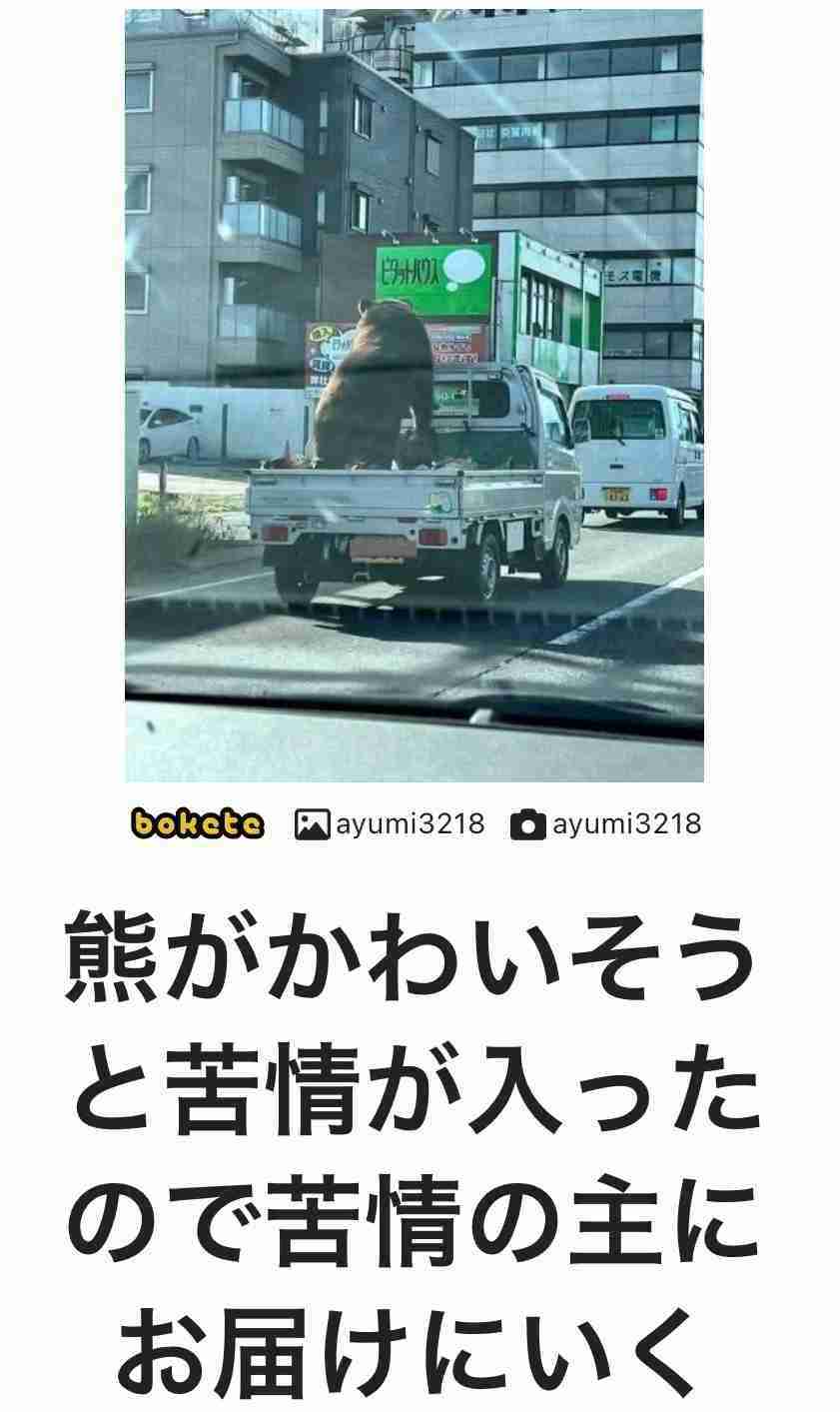 《猟友会にも寄せられるクレーム》罠にかかった凶暴なクマの映像に「歯や爪が悪くなってかわいそう」と…クレームに直面した高齢ベテランハンターの“嘆き”とは