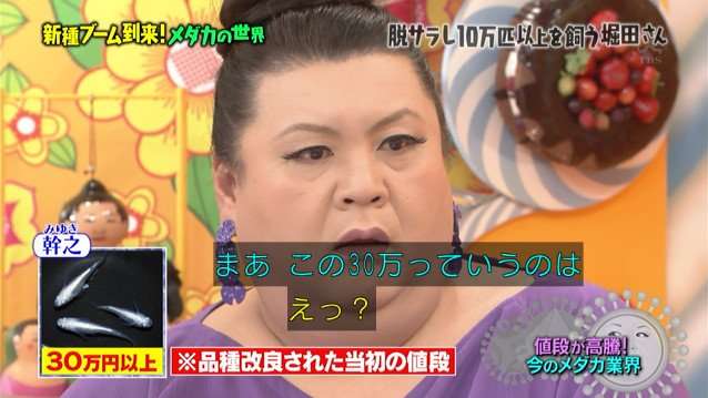 A型は美川憲一、B型はマツコ、O型は武田鉄矢、AB型はIKKO言葉で話すトピ Part13
