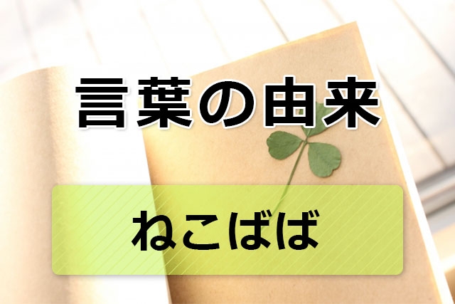 猫用自動トイレのおすすめ教えてください