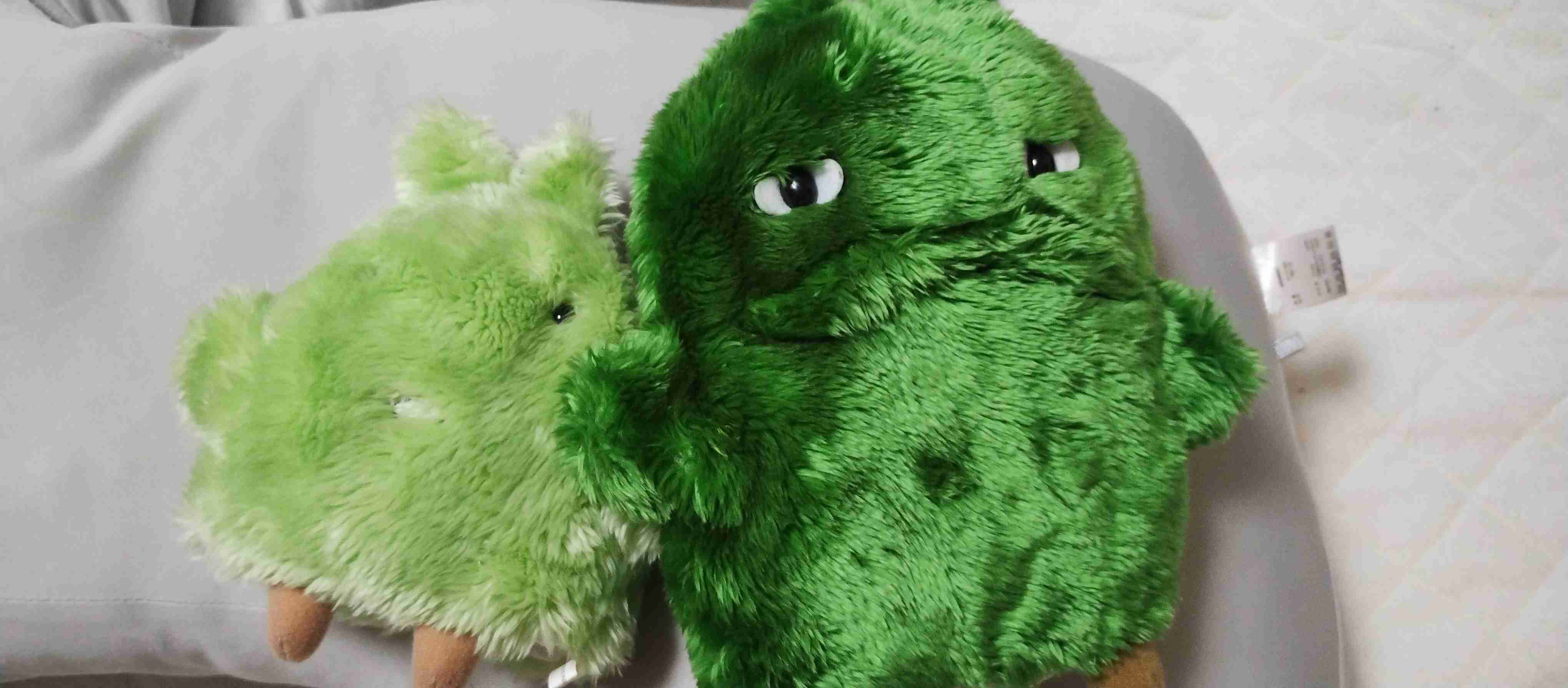 モリゾー・キッコロが好きだった人