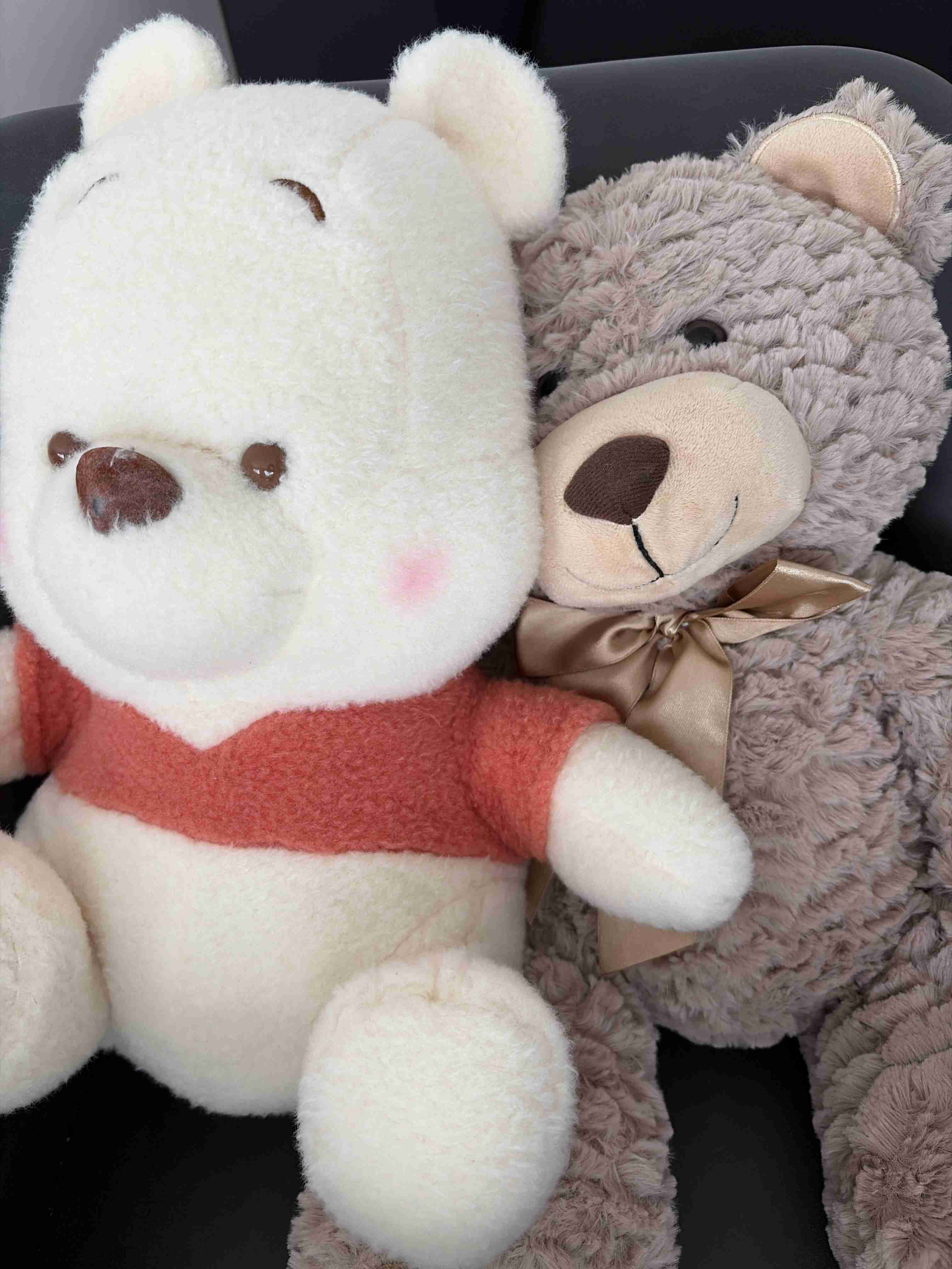 【ネタ】家にいる熊ʕ•ᴥ•ʔを探そう【雑談】