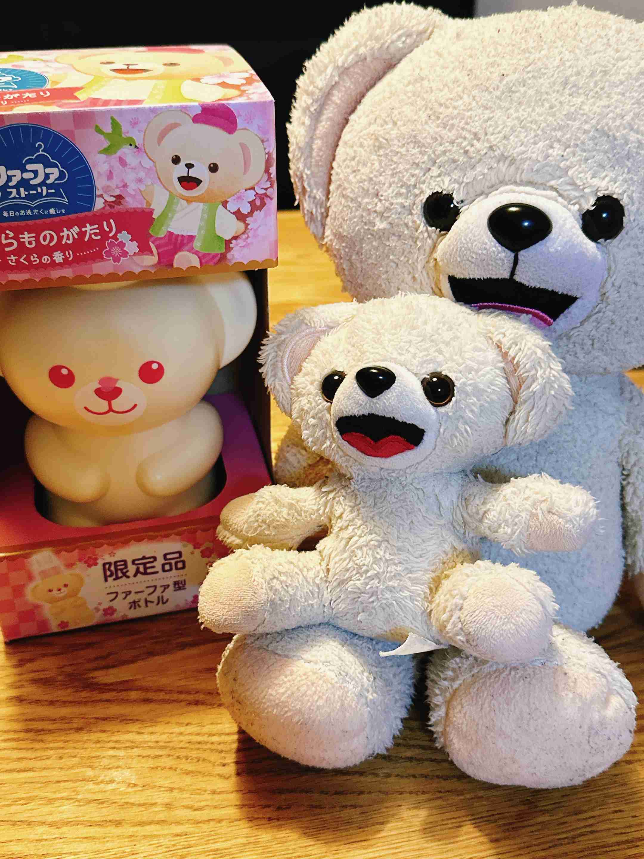 【ネタ】家にいる熊ʕ•ᴥ•ʔを探そう【雑談】