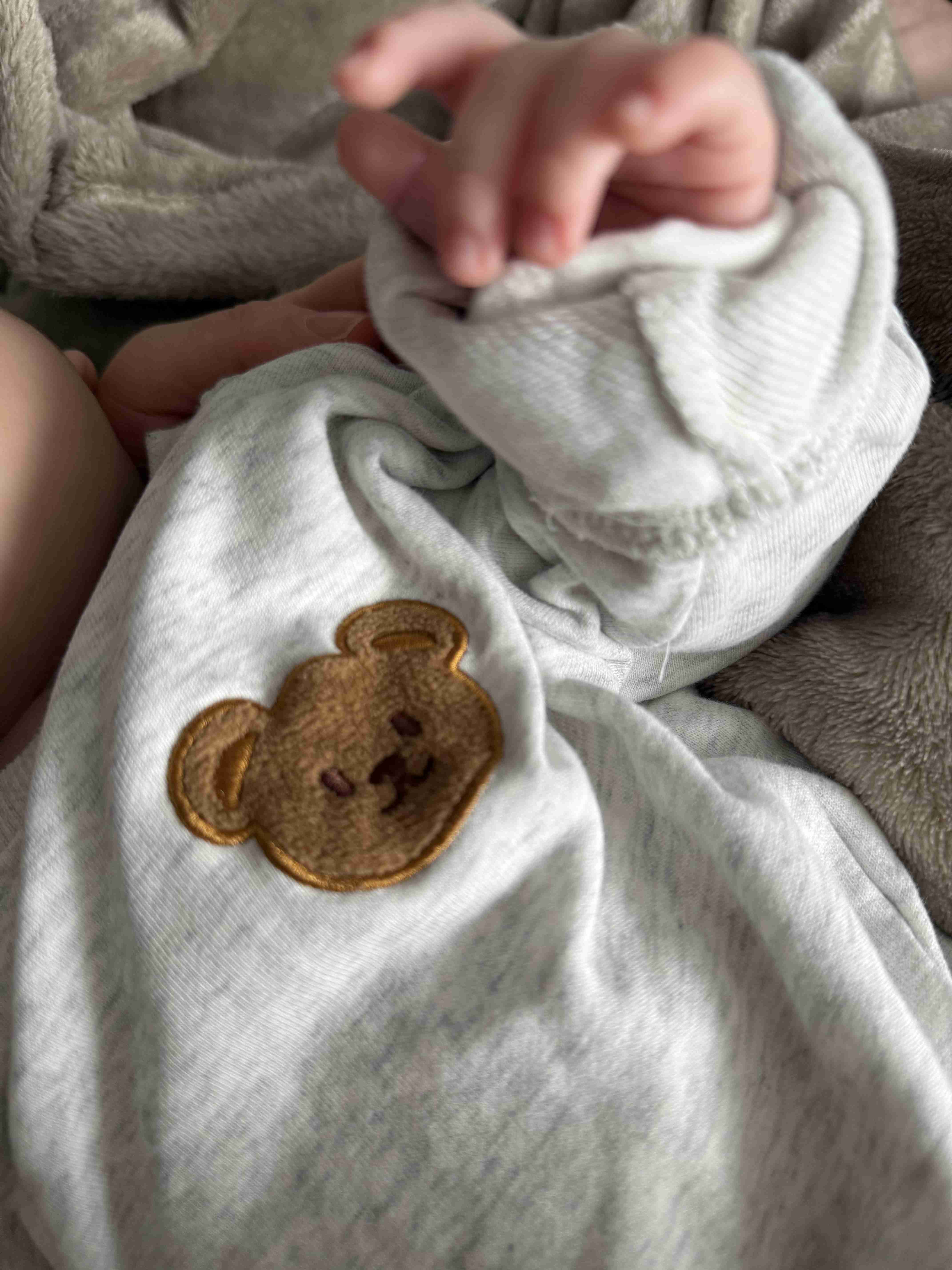 【ネタ】家にいる熊ʕ•ᴥ•ʔを探そう【雑談】