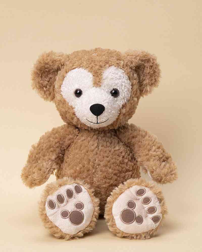 【ネタ】家にいる熊ʕ•ᴥ•ʔを探そう【雑談】