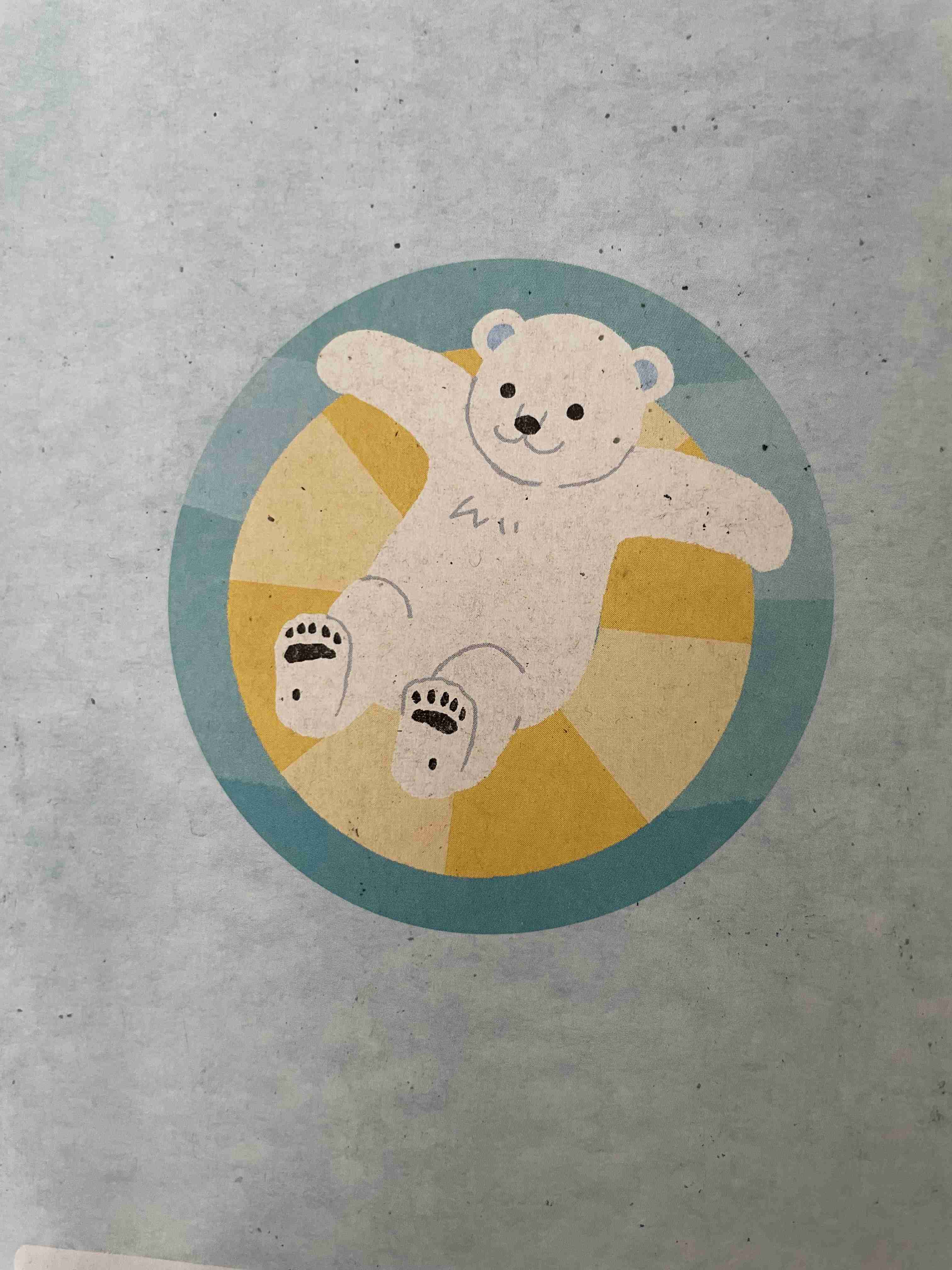 【ネタ】家にいる熊ʕ•ᴥ•ʔを探そう【雑談】