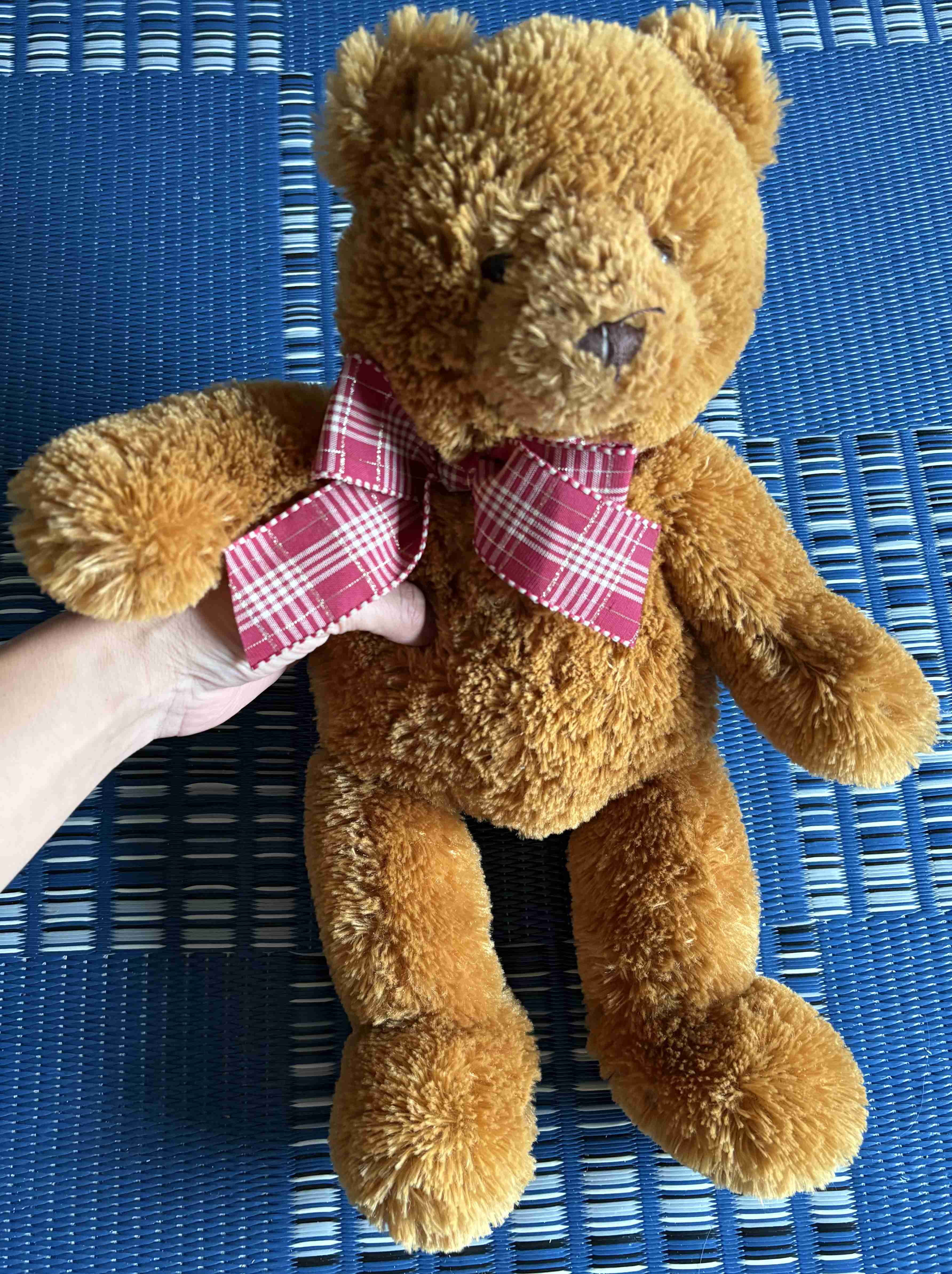 【ネタ】家にいる熊ʕ•ᴥ•ʔを探そう【雑談】