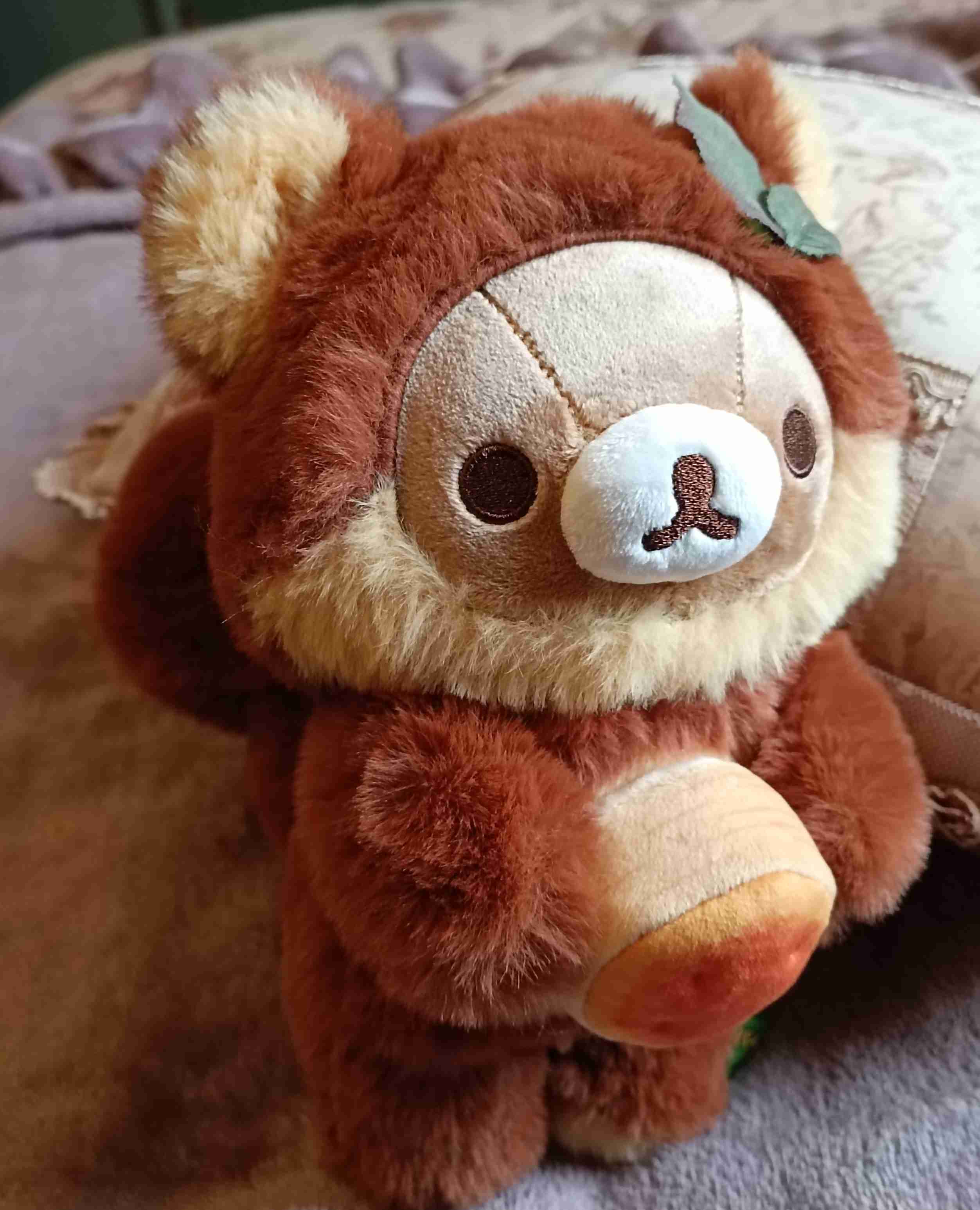 【ネタ】家にいる熊ʕ•ᴥ•ʔを探そう【雑談】