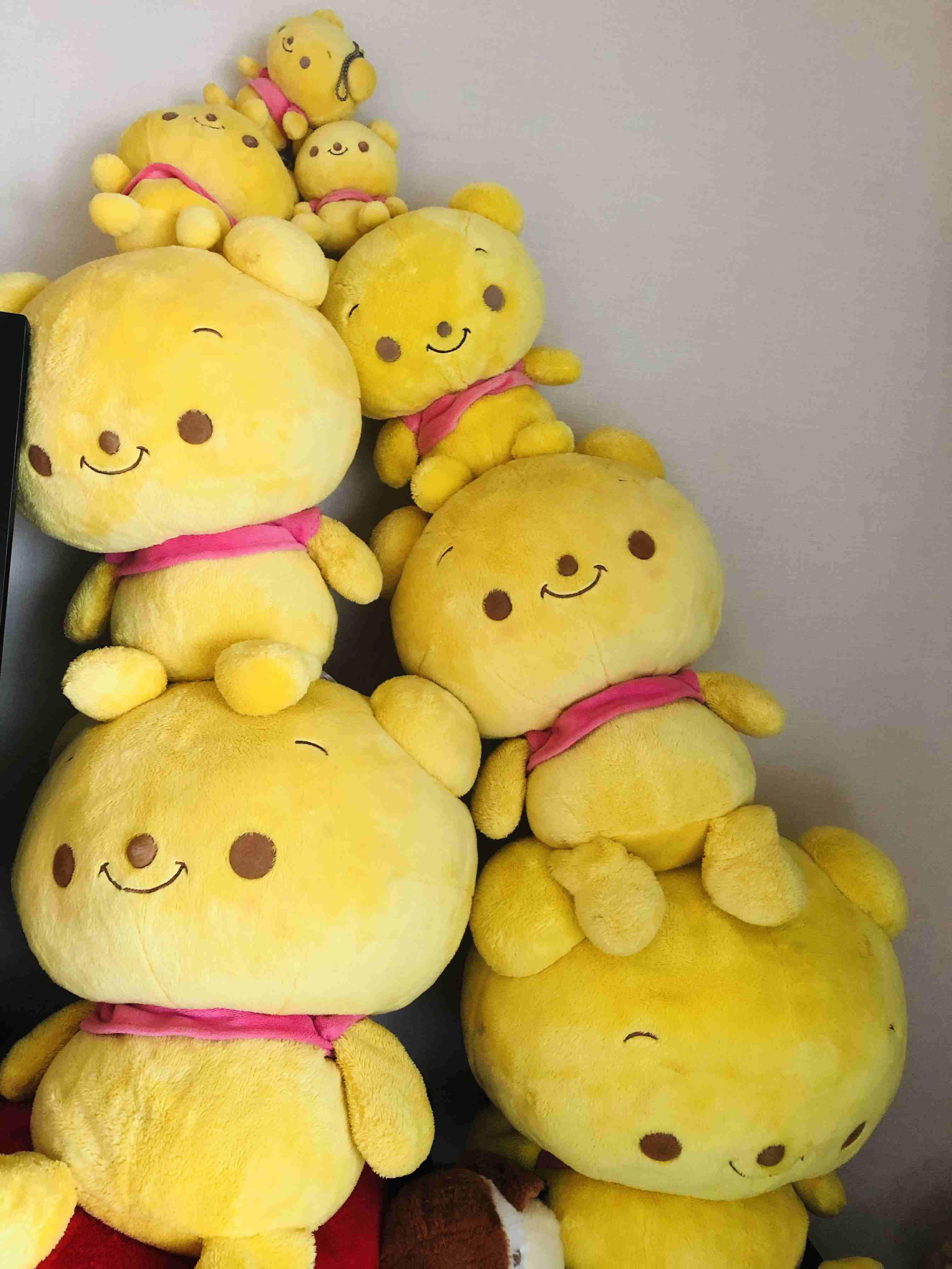 【ネタ】家にいる熊ʕ•ᴥ•ʔを探そう【雑談】