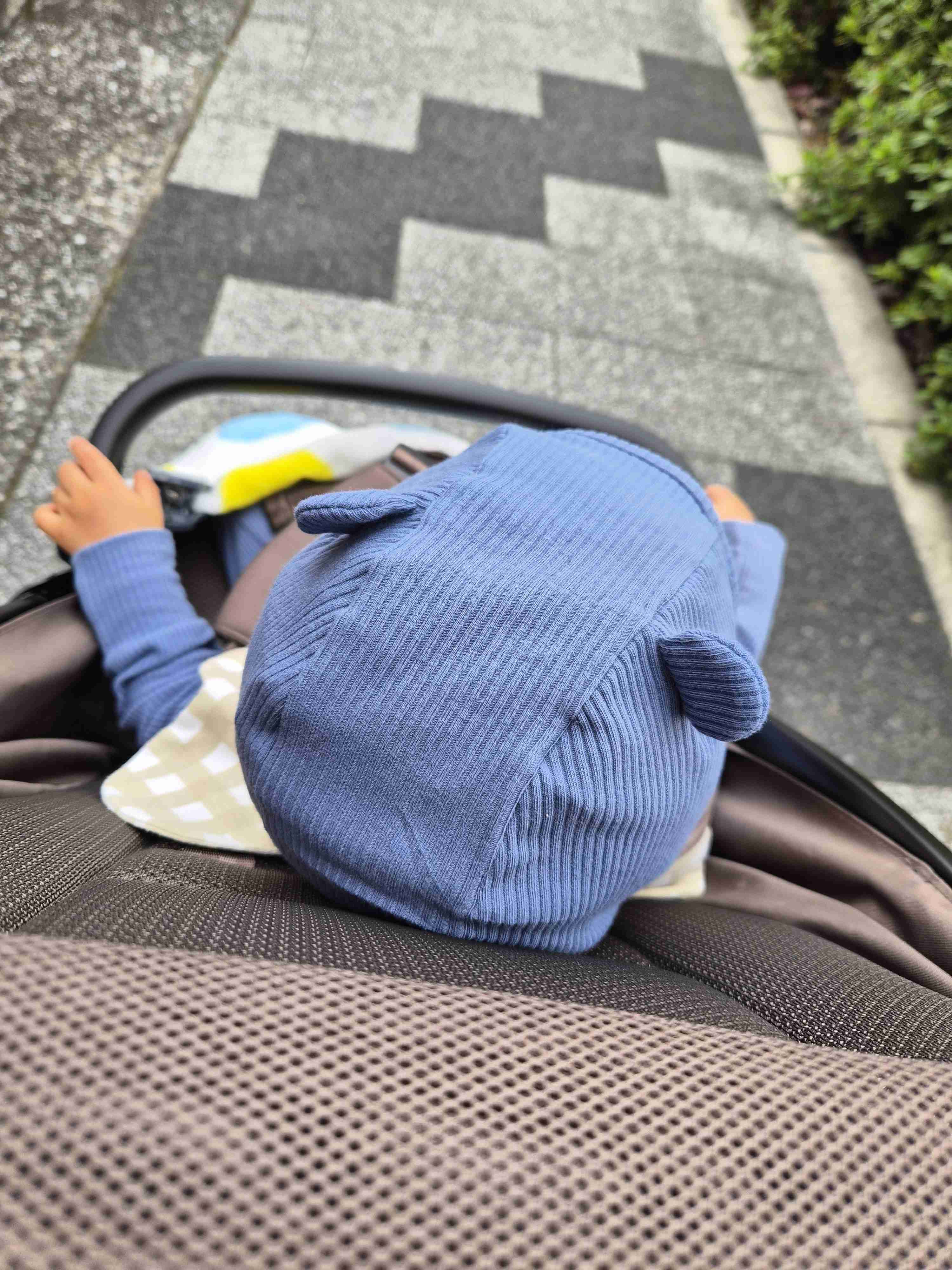 【ネタ】家にいる熊ʕ•ᴥ•ʔを探そう【雑談】