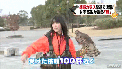 飼えるものなら飼いたい動物