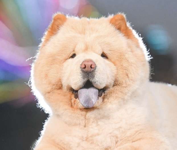 職場に美人がいる人〜！！