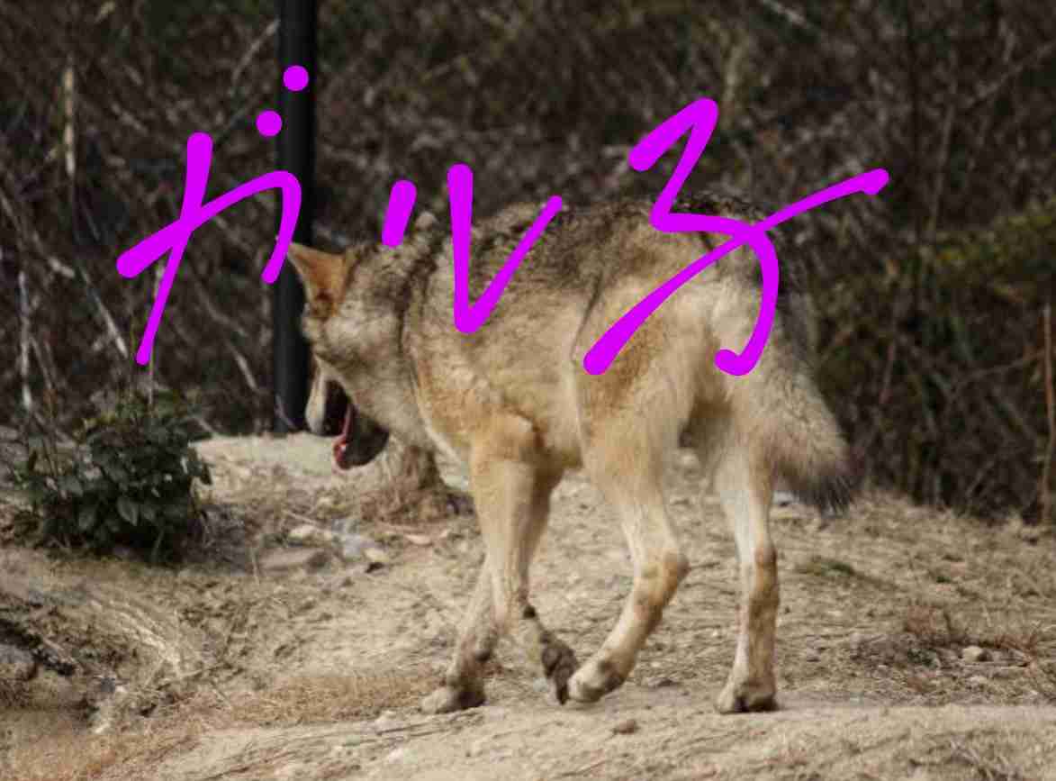 会社の忘年会行きますか?