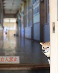 【スギちゃん雑談】過ごしやすい季節になってきたぜぇ 雑談するぜぇ【part112】