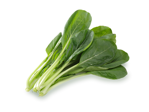 使いがちな食材