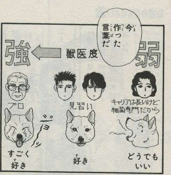 どんなサラダが好きですか？