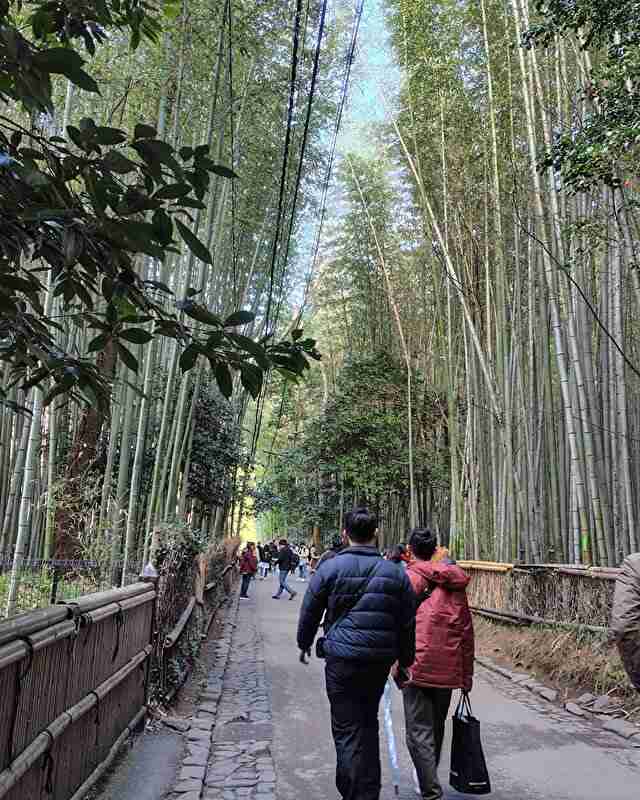 京都市民が乗れない市バス「もう限界」　京商がLRT導入を提言へ