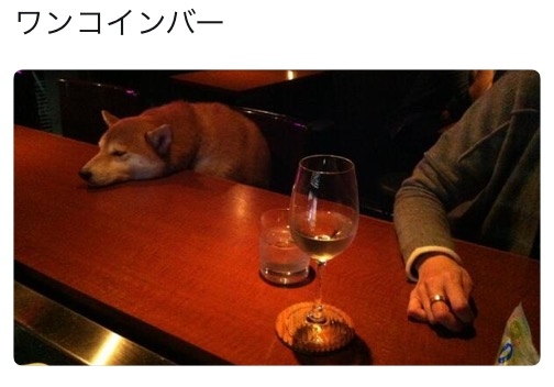 Barの雰囲気を味わいたい🍸