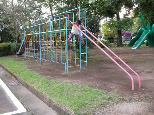 「タコ山」「箱型ブランコ」の次はジャングルジム？　姿消す公園遊具