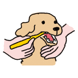 他人からされたどうでもいい話