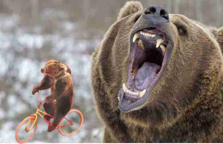 ポニーの「ポーちゃん」熊を警戒?　目撃情報後、散歩コースの仙台・広瀬川に行かなくなる