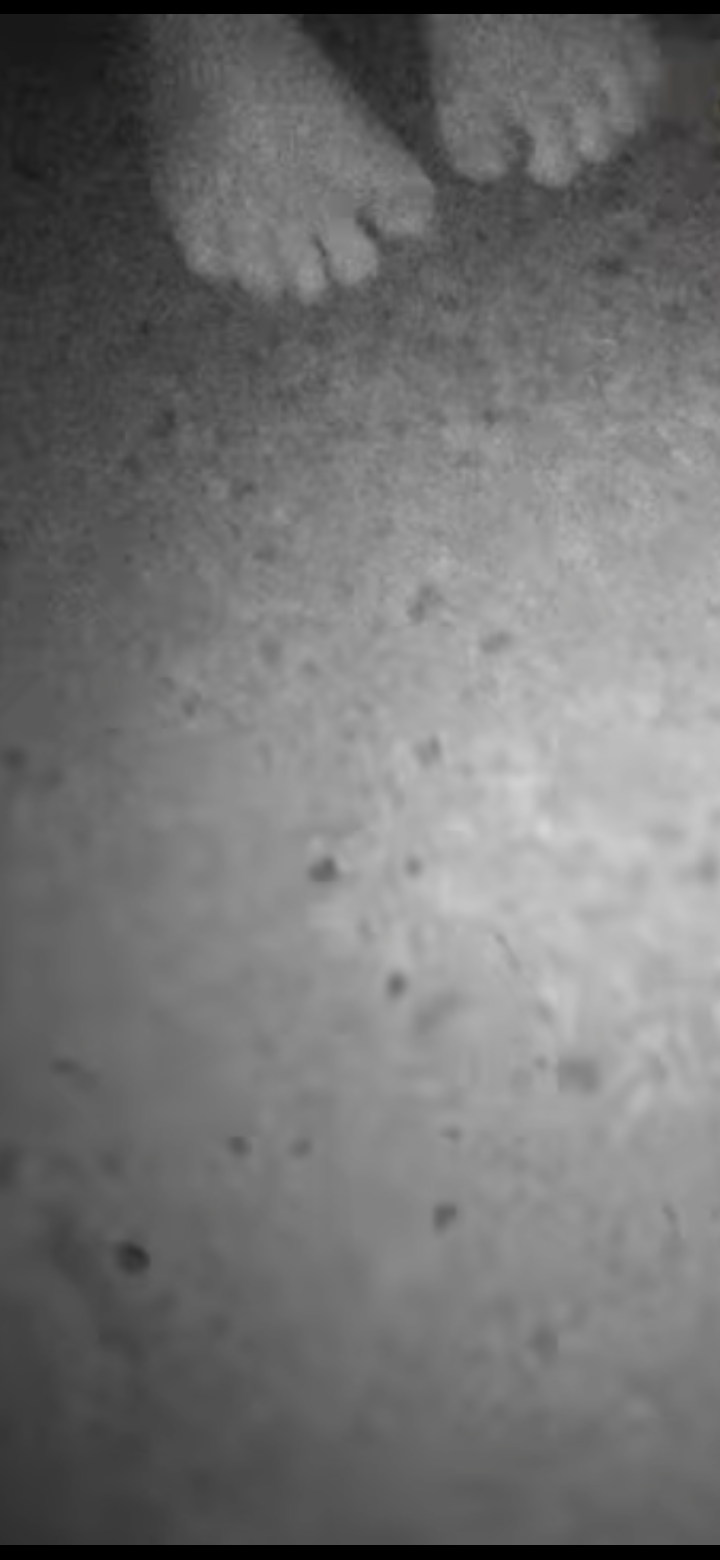 怪奇現象?家を建てたら周りがどんどん引っ越していく…
