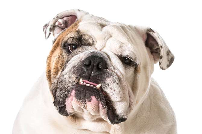 急に老けた所/部位