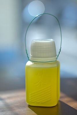 アラフォー以上が知っていることあるあるPart10